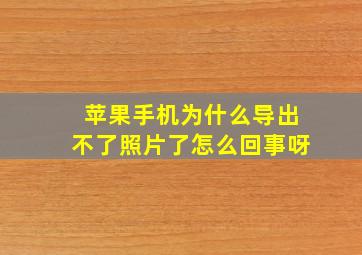 苹果手机为什么导出不了照片了怎么回事呀