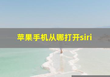 苹果手机从哪打开siri