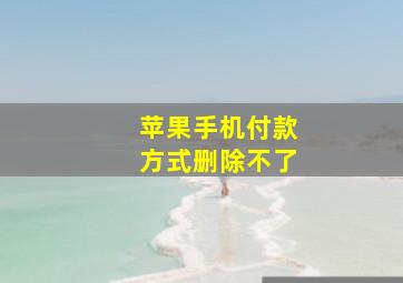 苹果手机付款方式删除不了