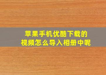 苹果手机优酷下载的视频怎么导入相册中呢