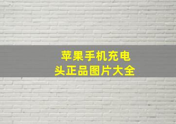 苹果手机充电头正品图片大全