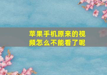 苹果手机原来的视频怎么不能看了呢