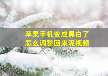 苹果手机变成黑白了怎么调整回来呢视频