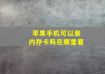 苹果手机可以装内存卡吗在哪里看