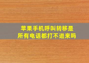 苹果手机呼叫转移是所有电话都打不进来吗