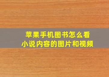 苹果手机图书怎么看小说内容的图片和视频