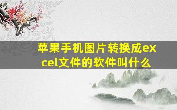 苹果手机图片转换成excel文件的软件叫什么