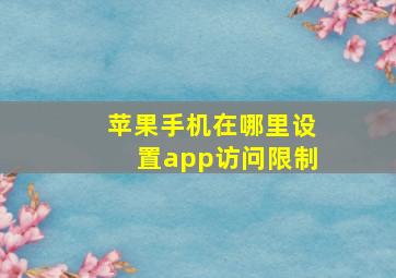 苹果手机在哪里设置app访问限制