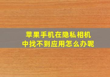 苹果手机在隐私相机中找不到应用怎么办呢