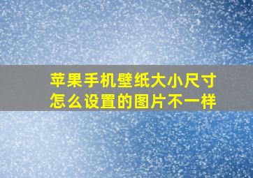 苹果手机壁纸大小尺寸怎么设置的图片不一样