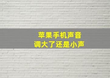 苹果手机声音调大了还是小声