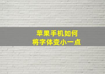 苹果手机如何将字体变小一点