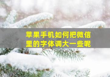 苹果手机如何把微信里的字体调大一些呢