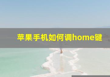 苹果手机如何调home键