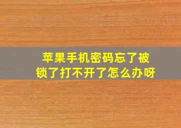 苹果手机密码忘了被锁了打不开了怎么办呀