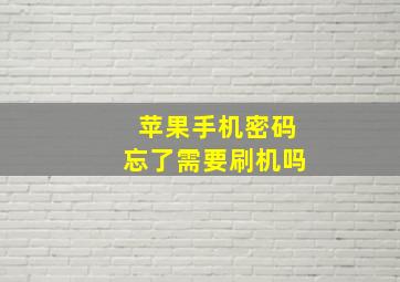 苹果手机密码忘了需要刷机吗