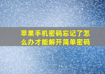 苹果手机密码忘记了怎么办才能解开简单密码