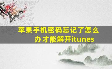 苹果手机密码忘记了怎么办才能解开itunes