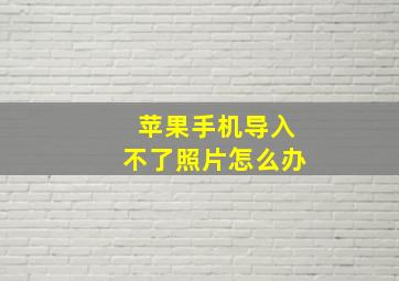 苹果手机导入不了照片怎么办