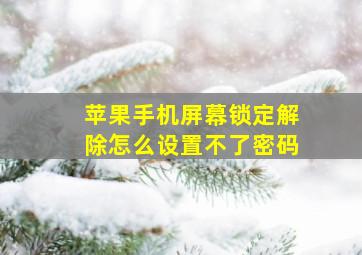 苹果手机屏幕锁定解除怎么设置不了密码