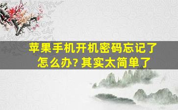 苹果手机开机密码忘记了怎么办? 其实太简单了