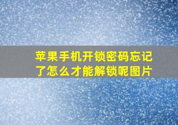 苹果手机开锁密码忘记了怎么才能解锁呢图片