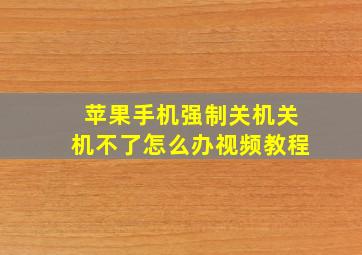 苹果手机强制关机关机不了怎么办视频教程