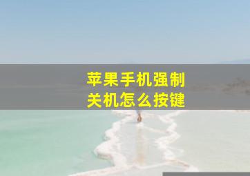 苹果手机强制关机怎么按键