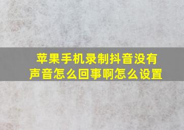 苹果手机录制抖音没有声音怎么回事啊怎么设置