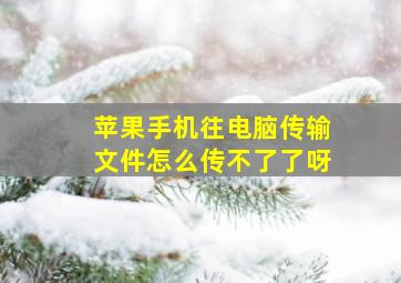 苹果手机往电脑传输文件怎么传不了了呀