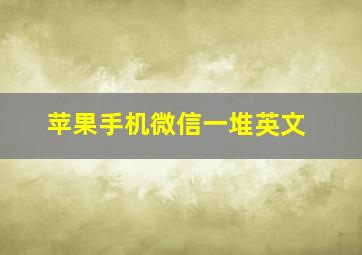 苹果手机微信一堆英文