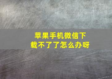 苹果手机微信下载不了了怎么办呀