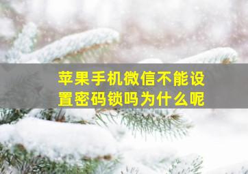 苹果手机微信不能设置密码锁吗为什么呢