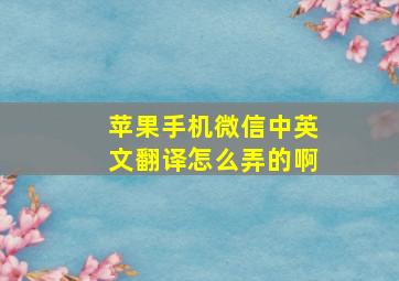 苹果手机微信中英文翻译怎么弄的啊