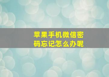 苹果手机微信密码忘记怎么办呢