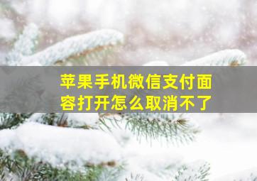 苹果手机微信支付面容打开怎么取消不了