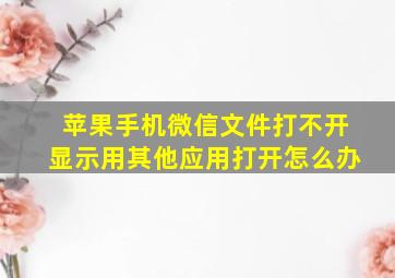 苹果手机微信文件打不开显示用其他应用打开怎么办