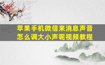 苹果手机微信来消息声音怎么调大小声呢视频教程