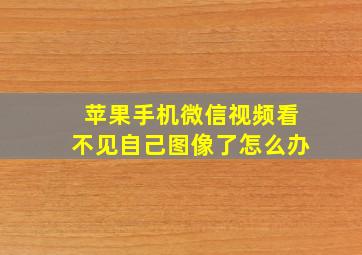 苹果手机微信视频看不见自己图像了怎么办