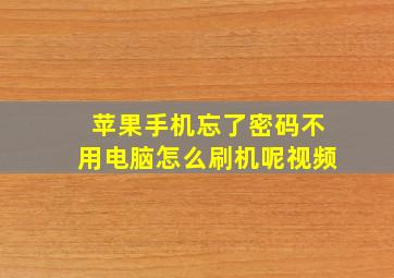 苹果手机忘了密码不用电脑怎么刷机呢视频