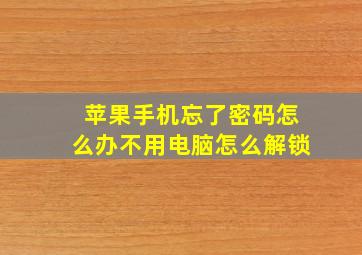 苹果手机忘了密码怎么办不用电脑怎么解锁