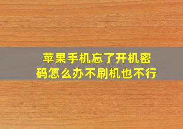 苹果手机忘了开机密码怎么办不刷机也不行