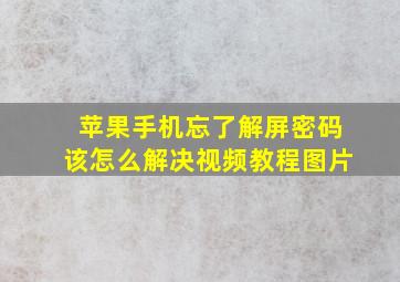 苹果手机忘了解屏密码该怎么解决视频教程图片