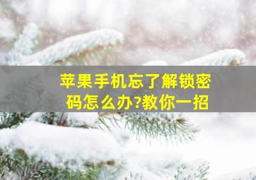 苹果手机忘了解锁密码怎么办?教你一招