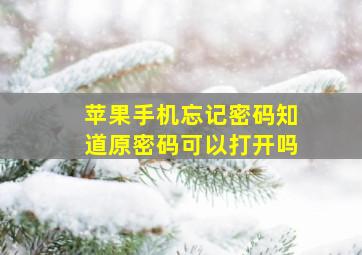 苹果手机忘记密码知道原密码可以打开吗