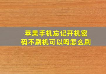 苹果手机忘记开机密码不刷机可以吗怎么刷