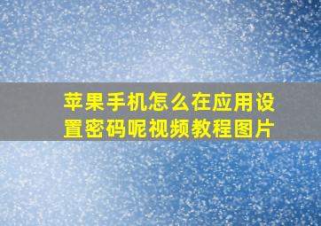 苹果手机怎么在应用设置密码呢视频教程图片