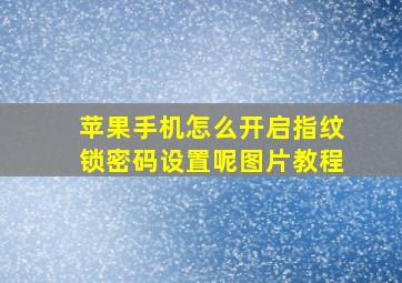 苹果手机怎么开启指纹锁密码设置呢图片教程