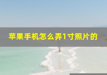 苹果手机怎么弄1寸照片的