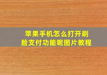 苹果手机怎么打开刷脸支付功能呢图片教程